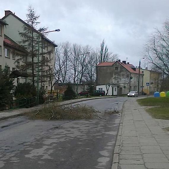 Uwaga mocno wieje! Wiatr amie drzewa i powala znaki drogowe