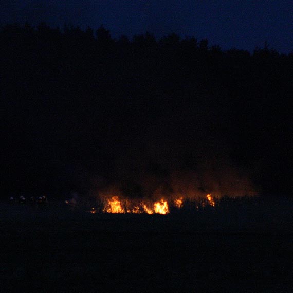 Gasz, a kto cigle podpala