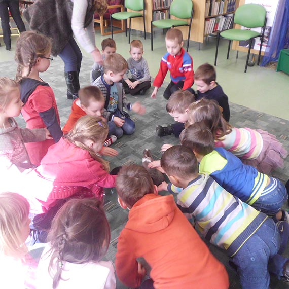 Gumisie i lekcja z ywymi zwierztkami w bibliotece w Dziwnowie