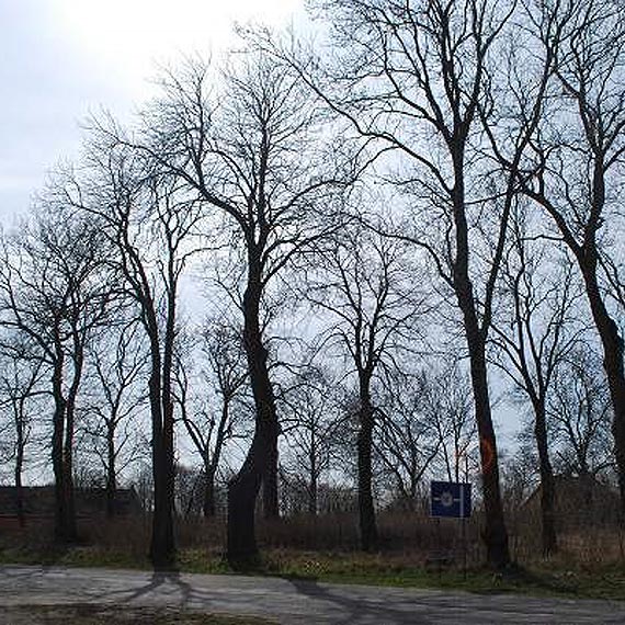 Porzdkowanie nieczynnego cmentarza w Jarszewie