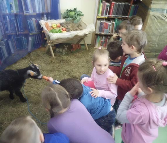 Gumisie i lekcja z ywymi zwierztkami w bibliotece