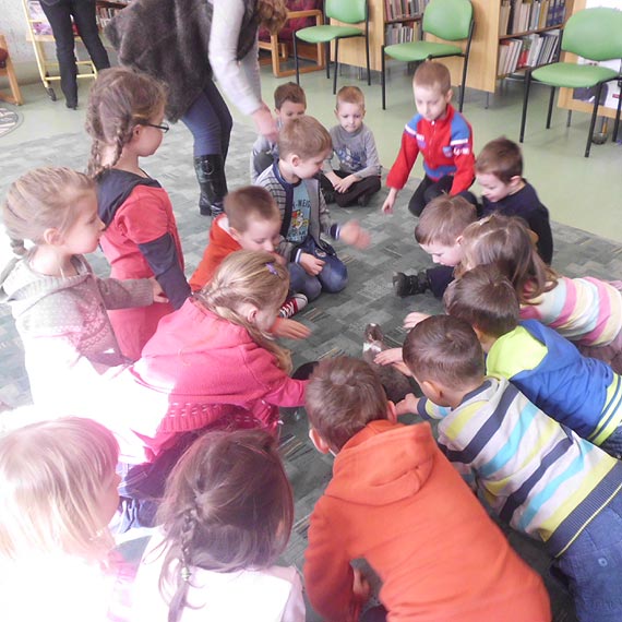 Gumisie i lekcja z ywymi zwierztkami w bibliotece