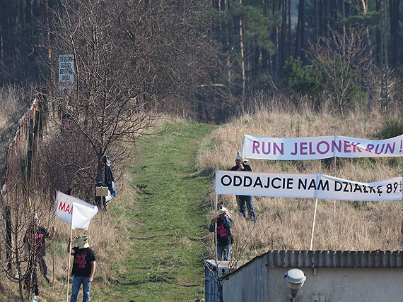 Jelonek nie paci