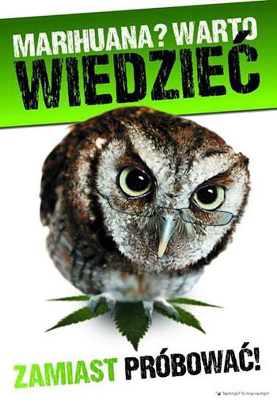„Marihuana? Warto wiedzie zamiast prbowa!” cykl zaj w Midzyzdrojach