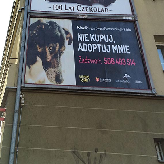 3 miliony klikni dla zwierzt ze schroniska