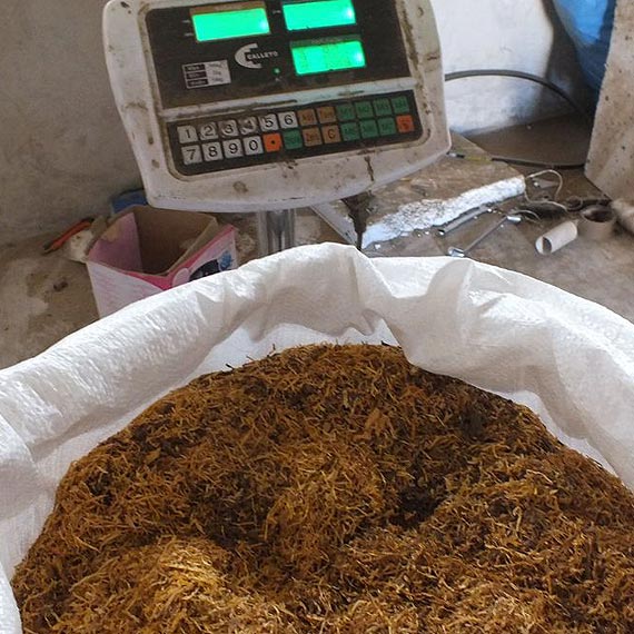 Ukrywali 120 kilogramw tytaniu bez akcyzy