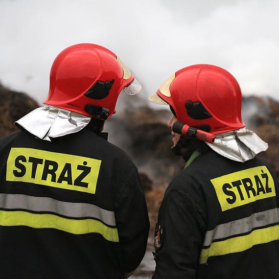 4 maja - Midzynarodowy Dzie Straaka 