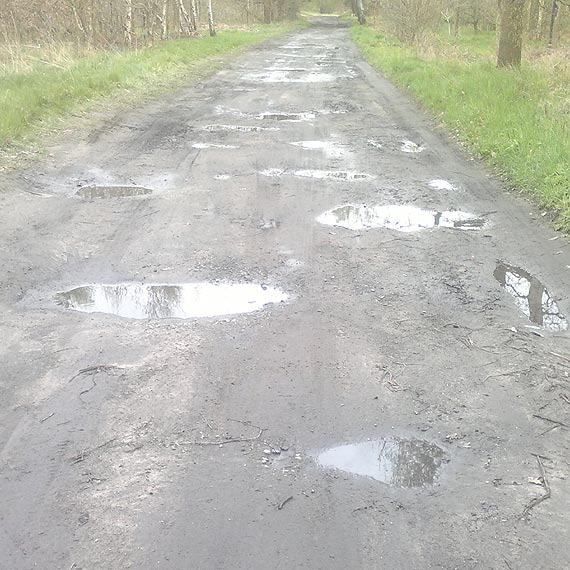 Urząd Miejski odpowiada w sprawie drogi w Ładzinie: Przewidziany jest remont cząstkowy w czerwcu