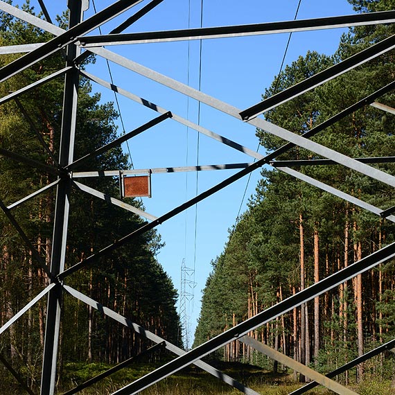 Czytelnik: Dlaczego linie energetyczne przebiegaj tak blisko wysokich drzew?