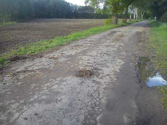 Mieszkacy skar si na kiszonk i zajty pas drogowy. Zobacz film!