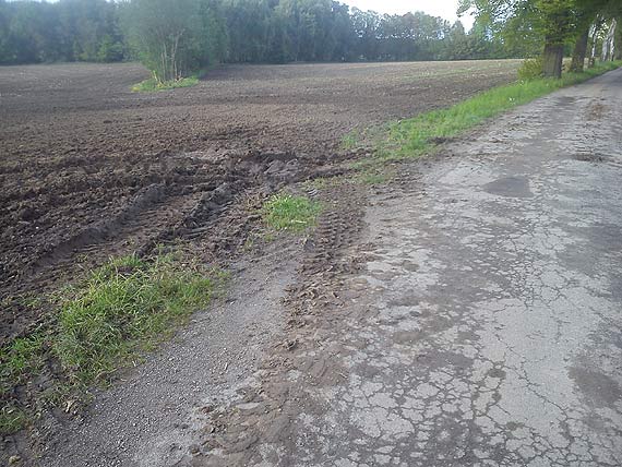 Mieszkacy skar si na kiszonk i zajty pas drogowy. Zobacz film!