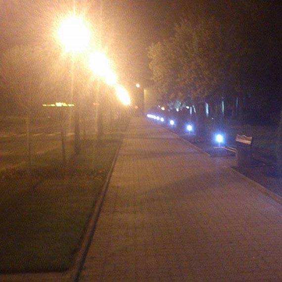 "Zamknita" piknieje