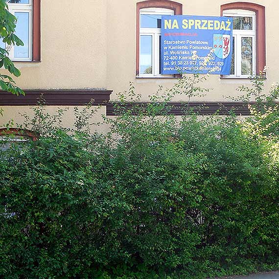 Starostwo Powiatowe i jego zaniedbane nieruchomoci