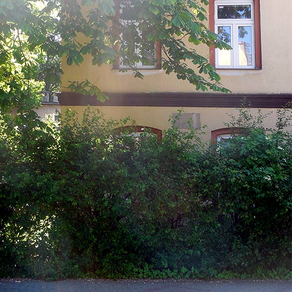 Starostwo Powiatowe i jego zaniedbane nieruchomoci