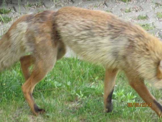 Troch jak w slumsach