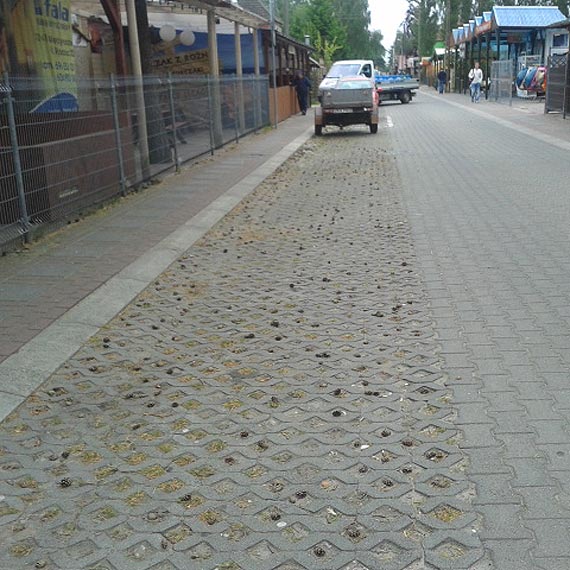 Czyby sprztajcy zapomnieli o ulicy Wojska Polskiego w Midzywodziu?