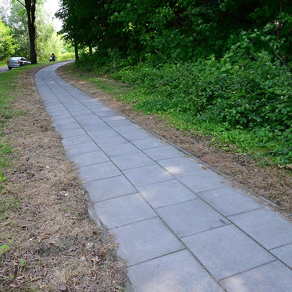 Zarząd Dróg Powiatowych w Kamieniu Pomorskim odpowiada w sprawie herbicydów
