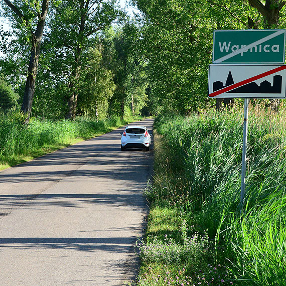 Czytelnik: Niebezpieczna droga z Wicka do Wapnicy. Przez kilkumetrowe trzciny, nie wida zwierzyny 