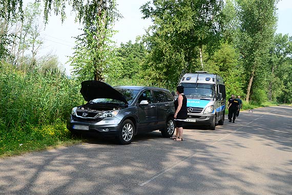 Czytelnik: Niebezpieczna droga z Wicka do Wapnicy. Przez kilkumetrowe trzciny, nie widać zwierzyny