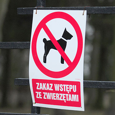 Po cmentarzu spaceruj z psami