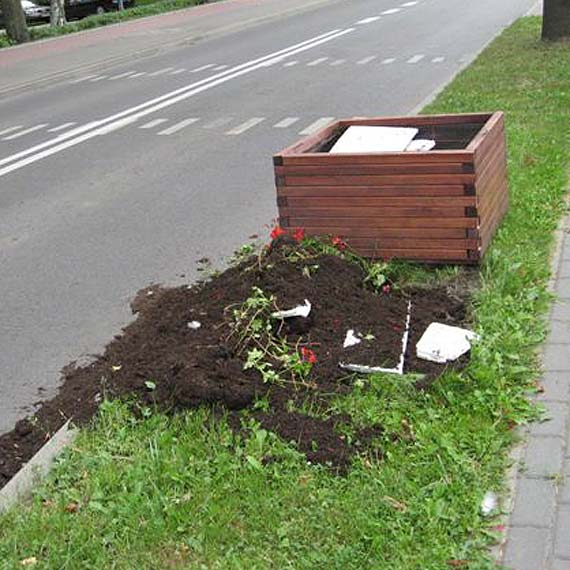 W Kamieniu Pomorskim zniszczono skrzynie z pelargoniami