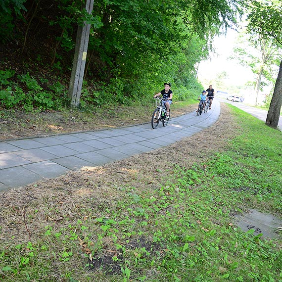 Wojewódzki Inspektorat Ochrony Roślin i Nasiennictwa stwierdził naruszenia w stosowaniu herbicydów