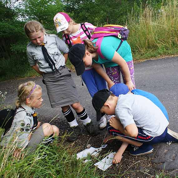 Kolonia zuchowa "Akademia Przyrodnikw"