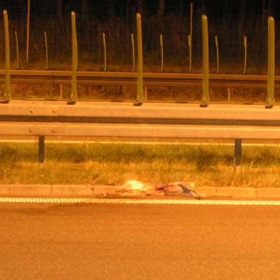 Kolizja na krajowej trójce, jedna osoba doznała obrażeń