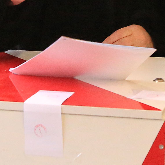 Niewane gosy - niewani politycy? 