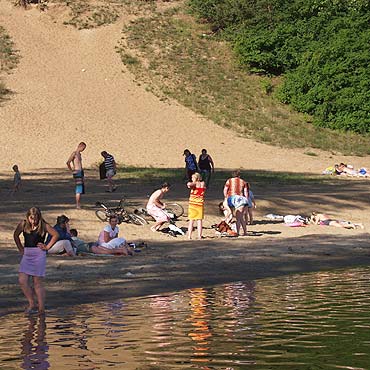 Wolin: Wycięto topole na drodze do plaży. Teraz będzie bezpieczniej
