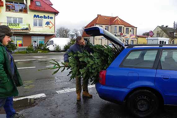Kupuj choinki, ale nie tylko...