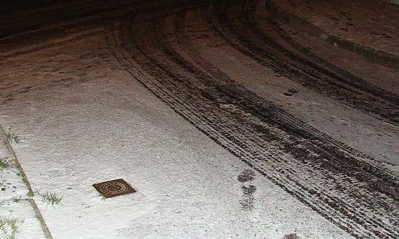 liskie drogi w Midzyzdrojach. Czytelnik: Zagroenie jest ogromne