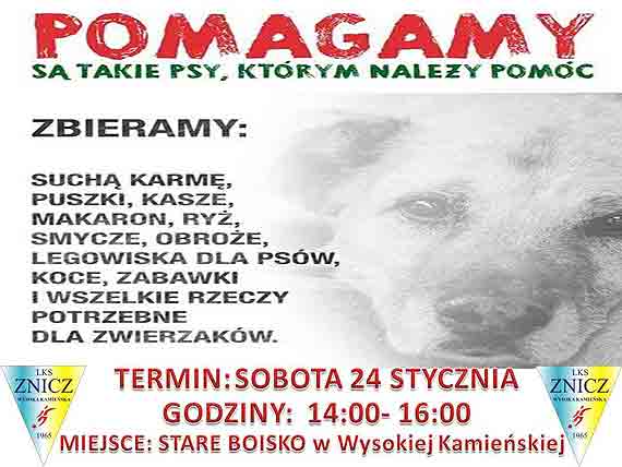 LKS Znicz organizuje zbirk darw dla schroniska w Sosnowicach