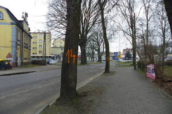 Trwają prace przygotowawcze do przebudowy kilku ulic w Kamieniu Pomorskim