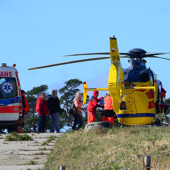 Międzyzdroje: Pies skoczył na dziecko. 4-latek został przetransportowany helikopterem do Szczecina