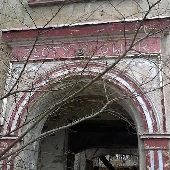 Czytelnik pyta, po co ktoś wyrzucił ryby