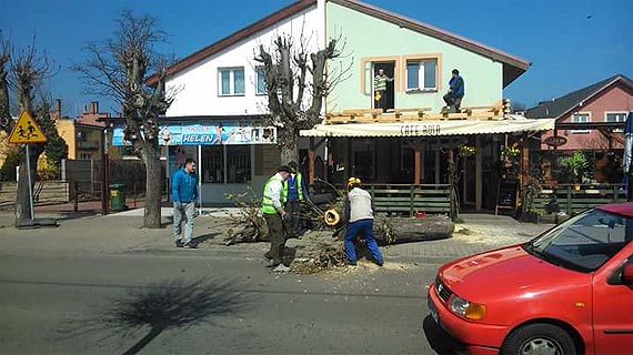 Czytelnik: W Dziwnowie wycito stare kasztanowce. Dlaczego nikogo o tym nie poinformowano?