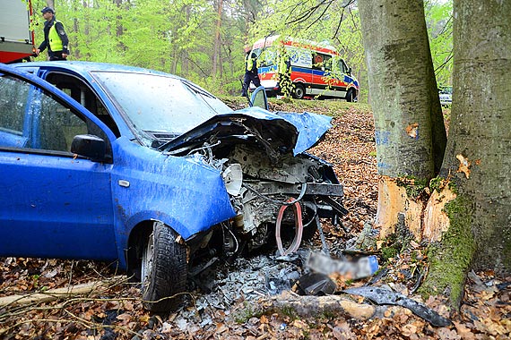 Fiat Panda jadc z Midzyzdrojw w stron Wiseki uderzy w drzewo. 2 osoby s w stanie krytycznym