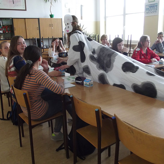 Dzie Mleka w Publicznym Gimnazjum w Kamieniu Pomorskim
