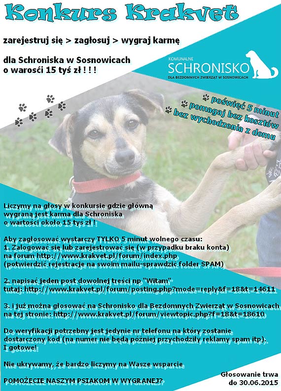 Pomóż zapełnić miskę bezdomnego psa - oddaj głos w konkursie!!