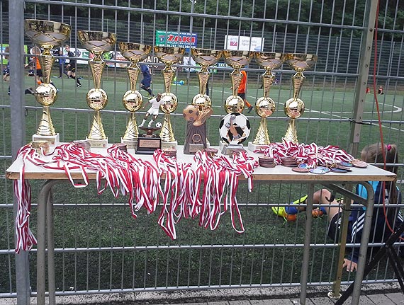 Pierwsze miejsce młodych Gryfiarzy na Turnieju w Szczecin Dąbiu!