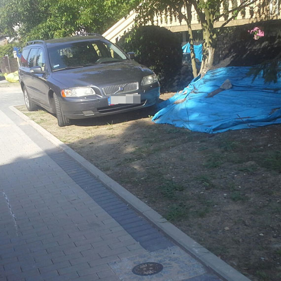 Czytelnik: W Wolinie mistrzowie parkowania nie szanuj zieleni...