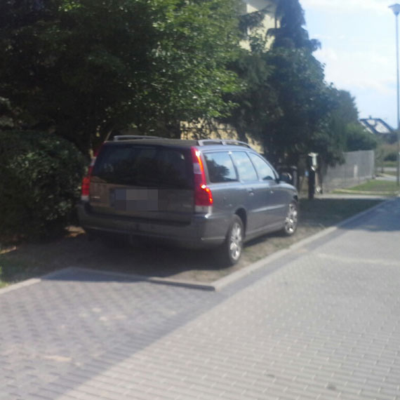 Czytelnik: W Wolinie mistrzowie parkowania nie szanuj zieleni...