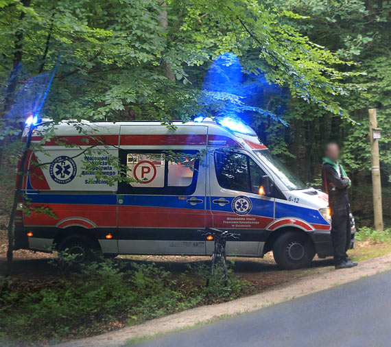 Peugeot na drodze 102 przy Midzyzdrojach, potrci rowerzyst 