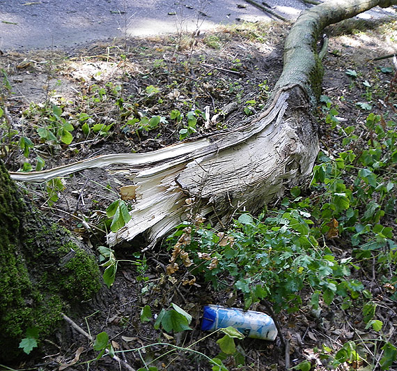 Na drodze Recaw-Laska spada ga! Ruch by sparaliowany, interweniowali straacy