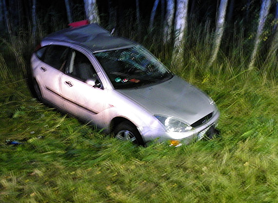 Dzik przyczyn gronego wypadku drogowego