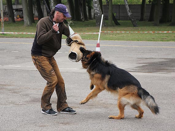 Festyn rekreacyjny dla wacicieli psw za nami