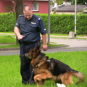 Bezpieczne wakacje z kamieńską policją