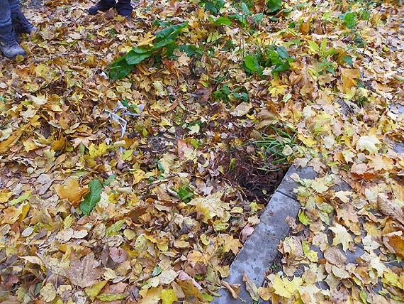 Kierująca samochodem osobowym wpadła w Jarszewie do studzienki kanalizacyjnej