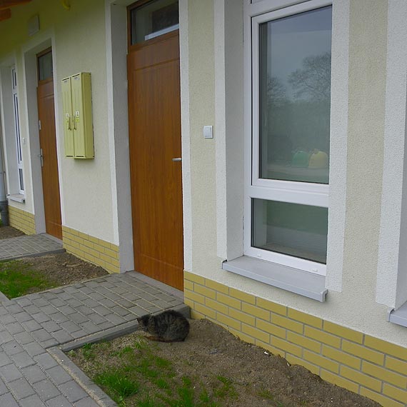 Ludzie nie mają gdzie mieszkać a budynek socjalny stoi pusty